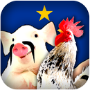 Безвиз Охота APK