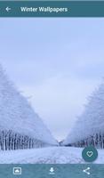 Winter Wallpapers captura de pantalla 2