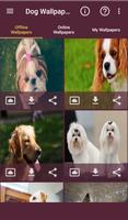 Dog Wallpapers screenshot 1