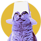 Cats icon