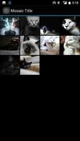 Cat Wallpapers! screenshot 3