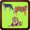 Wild Animals - Learning Name of Animals