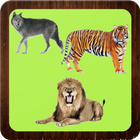 Wild Animals icon