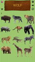 Wild Animals screenshot 3