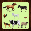 Learning Animal Names. Picture-Test-Sound