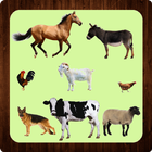 Learning Animal Names. Picture-Test-Sound icon