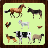 Learning Animal Names. Picture-Test-Sound icon