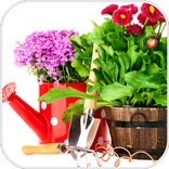 Дачная жизнь