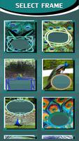 Peacock Photo Frames screenshot 2