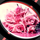 fonds d'écran - glitter rose APK