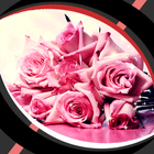 fonds d'écran - glitter rose icône