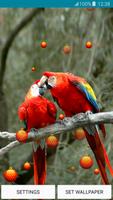 Fonds d'écran live - love bird capture d'écran 1