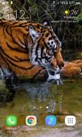 Tiger In River LWP capture d'écran 2