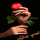 Valentine Red Rose LWP APK