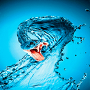 Water Cobra Live Wallpaper APK