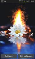 Poster White Flower Fire LWP