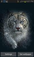White Tiger Water LWP الملصق