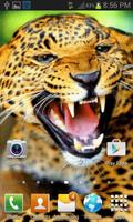 Wild Leopard Roar LWP capture d'écran 1
