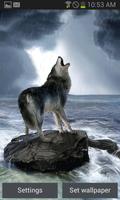 Wolf Barking Live Wallpaper Affiche