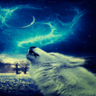 Wolf In Night LWP