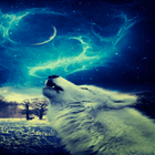 Wolf In Night LWP أيقونة