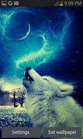 Wolf In Night LWP-poster