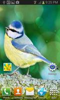 Yellow Blue Bird LWP Screenshot 1