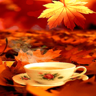 Autumn Tea Live Wallpaper icône