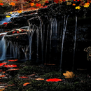 Autumn Waterfall LWP APK