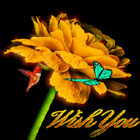 Bird Flower Live Wallpaper icône