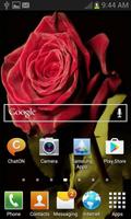 Bloomy Rose Live Wallpaper screenshot 1