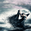 Black Wings Fairy LWP