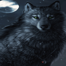 Black Wolf Live Wallpaper APK