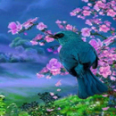 Blue Bird Swing LWP APK
