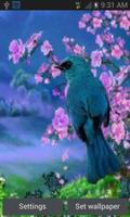 Blue Bird Swing LWP poster