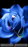 Blue Butterfly Rose LWP Affiche