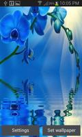 Blue Orchid Live Wallpaper الملصق