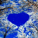 Blue Sky Heart LWP APK