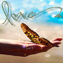 Butterfly Love Live Wallpaper APK