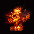 Candle Fiery Flower LWP icône