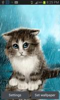 Cat In Rain LWP poster