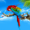 Colorful Parrot LWP APK
