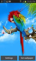 Colorful Parrot LWP poster