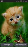 Cute Cat Butterfly LWP Plakat