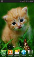 برنامه‌نما Cute Cat Butterfly LWP عکس از صفحه
