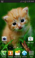 Cute Cat Butterfly LWP Screenshot 2