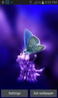 Cute Butterfly Live Wallpaper Affiche