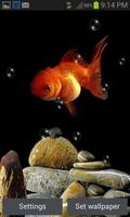 Cute Fish Bubble LWP постер