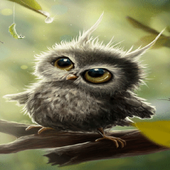 Cute Owl Baby LWP icon