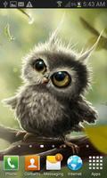 Cute Owl Baby LWP تصوير الشاشة 1